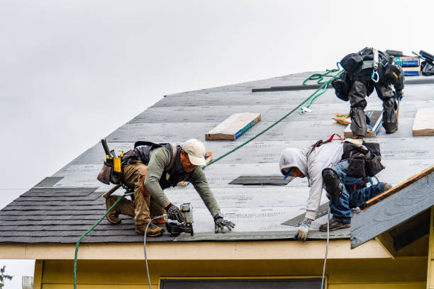 Professional Gutter Installation technician working in Columbus, NC