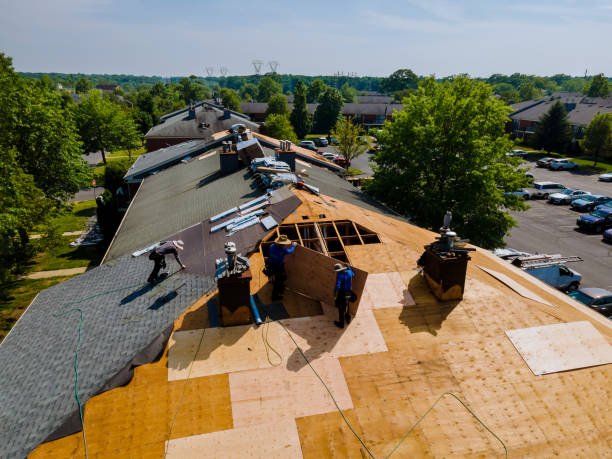 Trusted Roof Installation service in Columbus, NC - Brentwood Metal Roofing